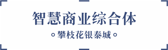智慧商業(yè)綜合體