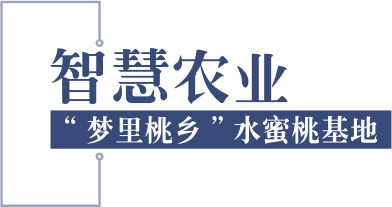 智慧農(nóng)業(yè)
