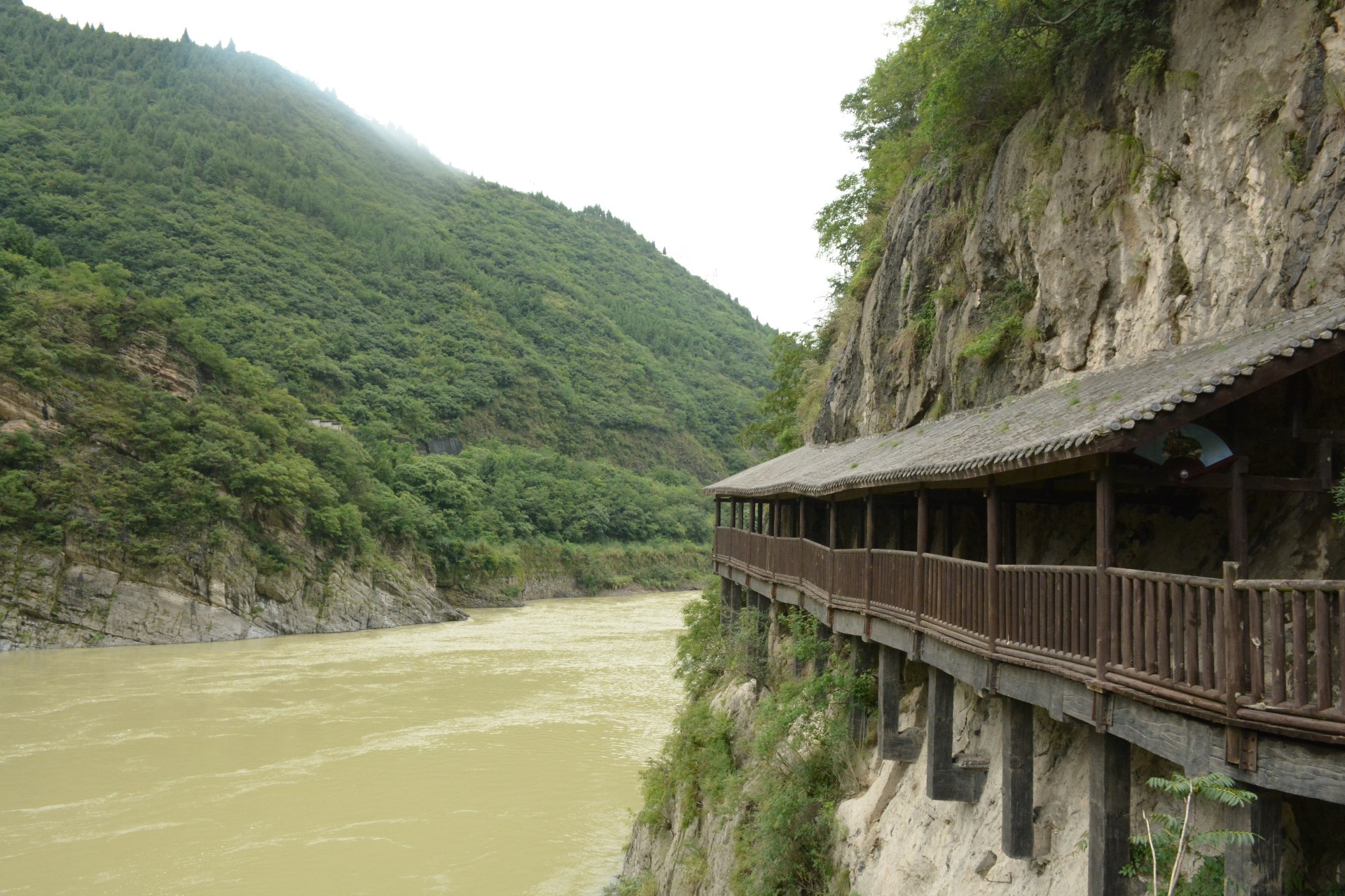 1597729775100229.jpg DSC_2848.JPG